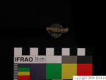 L_V20d4006 A16q61.1 R827 dM la f53